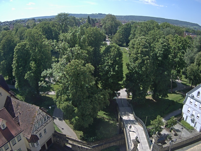 Live Bild